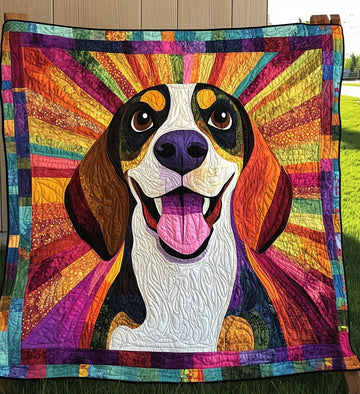Quilted blanket / quilt